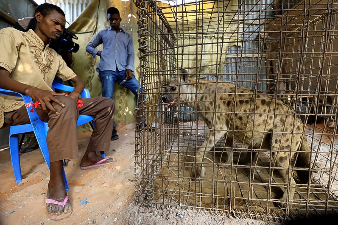 Somalis turn to Doctor Hyena to fight depression, mental illness